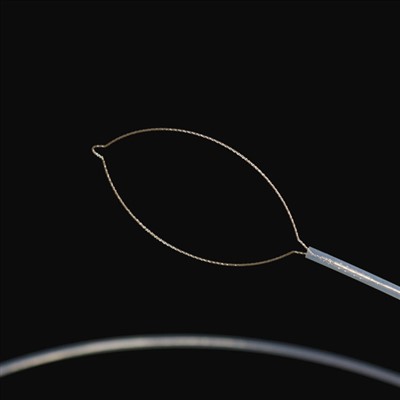 קין טיפּ פרעמד גוף פאָרסעפּס