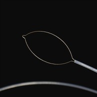 נעט טיפּ פרעמד גוף פאָרסעפּס